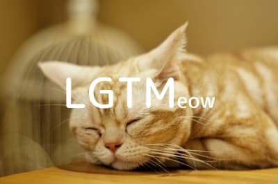 lgtm-cat-image