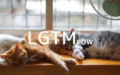 lgtm-cat-image