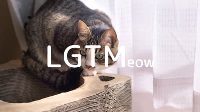 lgtm-cat-image