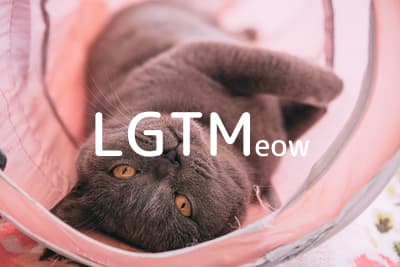 lgtm-cat-image