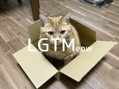 lgtm-cat-image